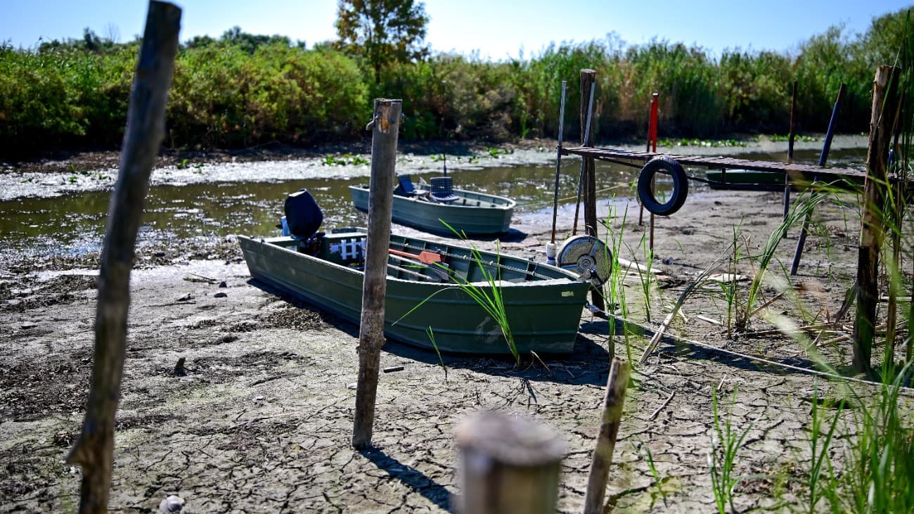 Nagy bajban van a Tisza-tó – galéria