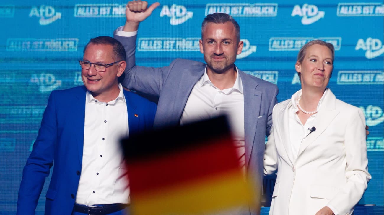 Egy jobban felsejlik az AfD új szövetségese