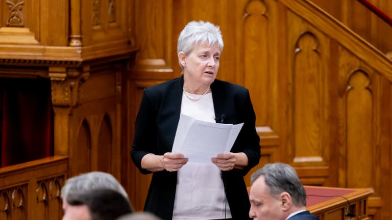 Nyílt levélben ment neki több ellenzéki képviselő Lannert Juditnak, bocsánatkérést követelnek
