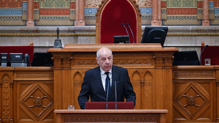 Fodor Gábor: Sulyok Tamásnak politikusként, nem jogászként kellett volna döntenie