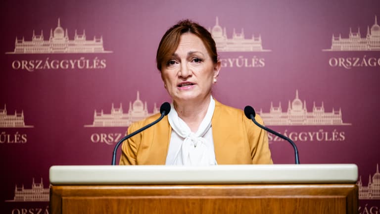 Újabb részleteket osztott meg Bujdosó Andrea a Zsámbéki-medencét érintő vízhiányról