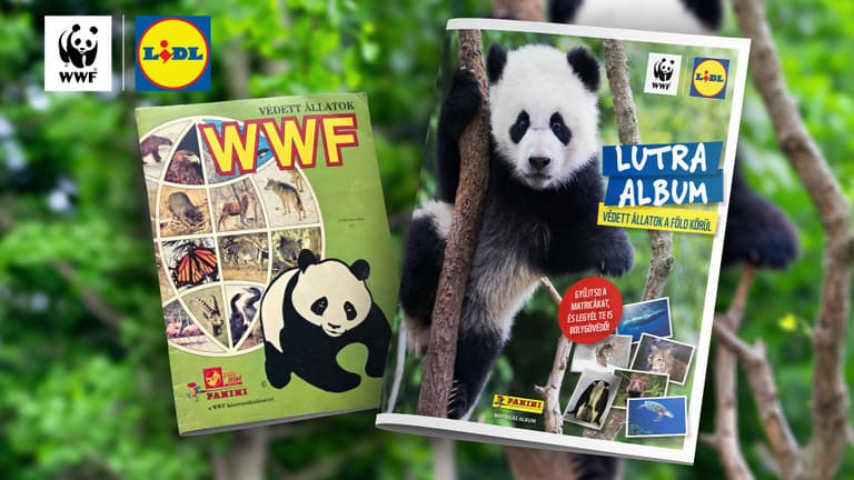 Újra életre kel a Lutra album, a Lidl és a WWF Magyarország közös kezdeményezése