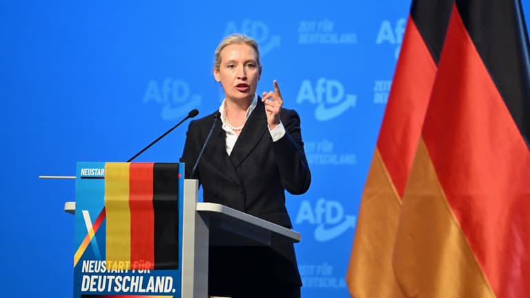 Nem az AfD betiltása a megoldás, hanem az SPD visszatérése önmagához