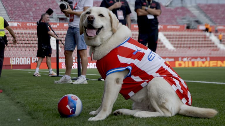 Cukiság csúcsra járatva: Canya, a hatéves labrador nélkül edzés sem kezdődhet a Girona csapatánál