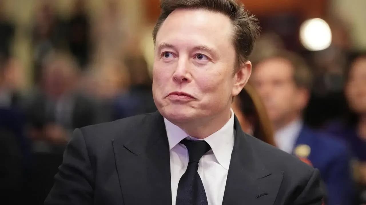 Szorosabbá válhat az együttműködés Elon Musk és az AfD között