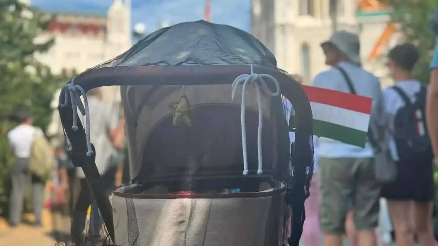 A röhögő fejeknél mikor lesz fontosabb a magyarság demográfiai állapota?