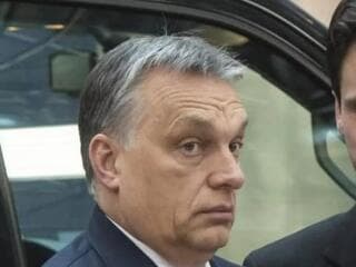 Itt van Havasi Bertalan válasza Magyar Péter legújabb ötletére