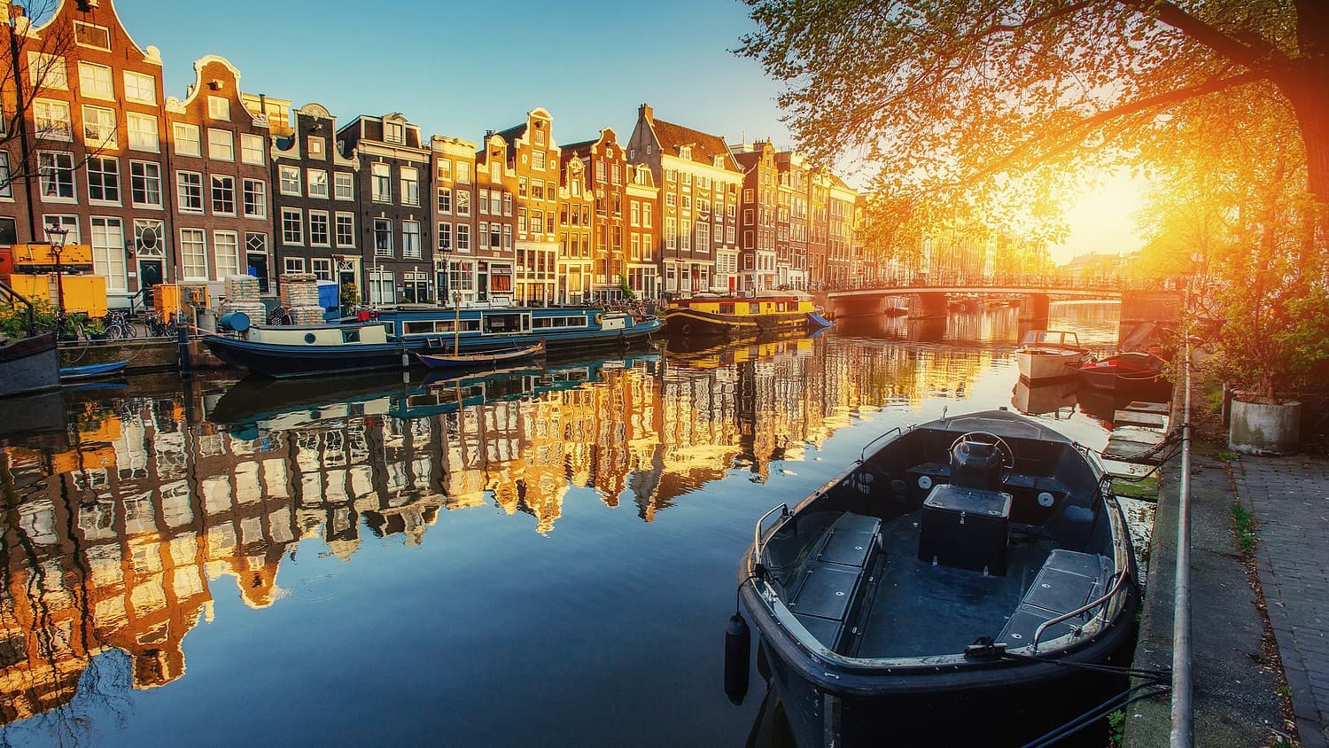 Egy amszterdami szemétkupacból került elő a holland festészet egyik remekműve