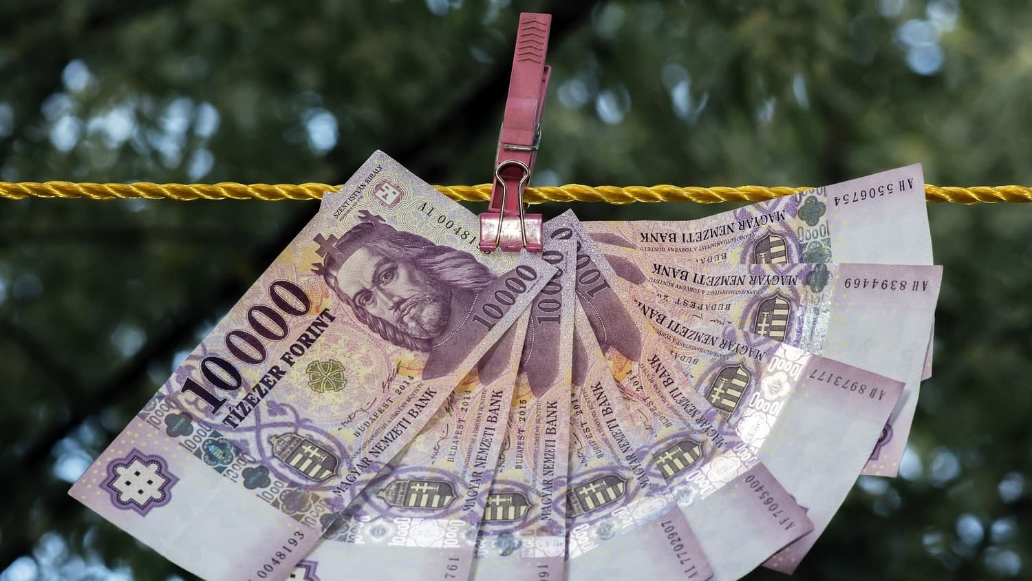 Megtorpanni látszik a forint