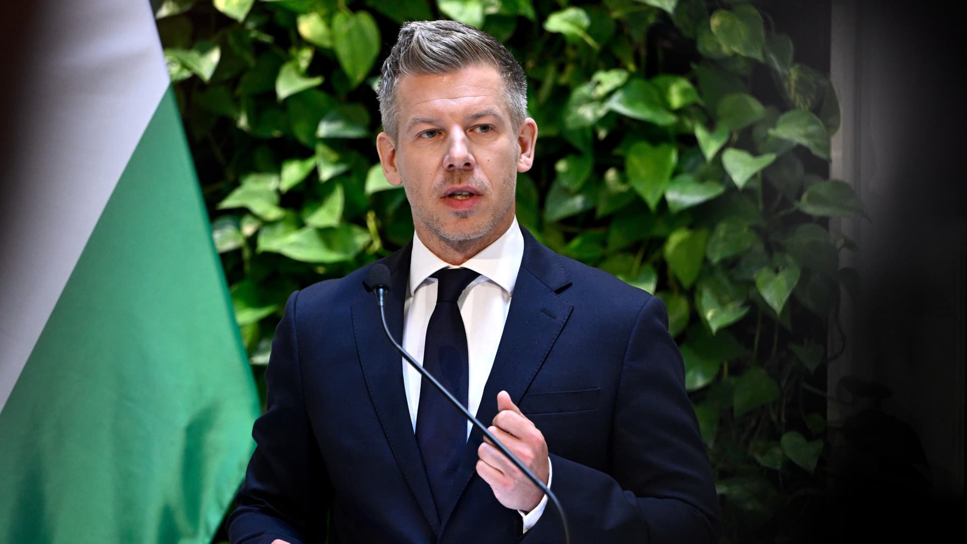 Magyar Péter: szeptemberben jön az újabb áfacsökkentés
