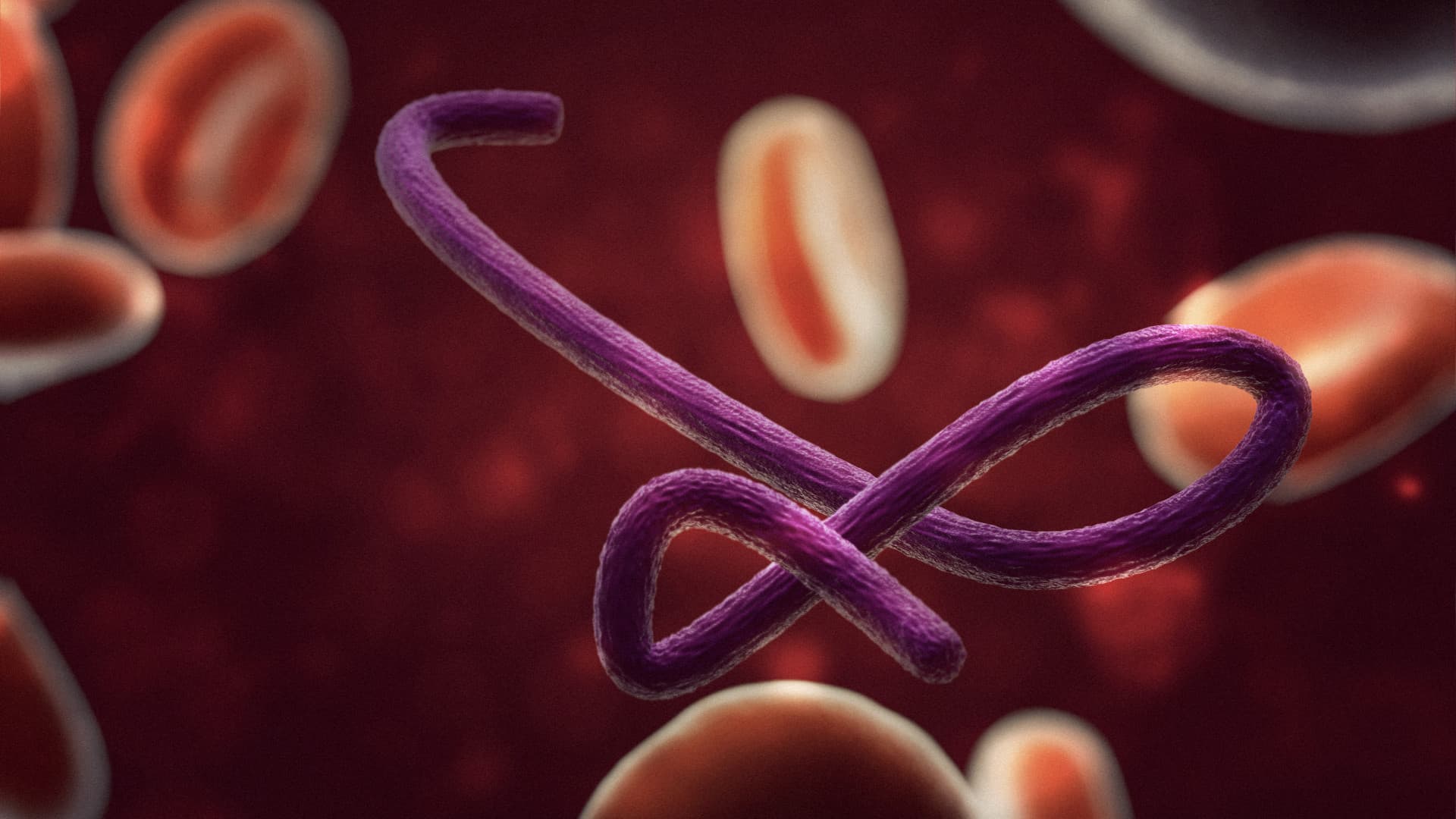 Véget ért az ebolajárvány Ugandában