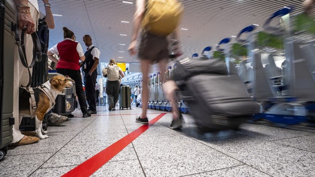Maláriát terjesztő szúnyogok jutottak be Németországba egy repülővel, két reptéri dolgozó meghalt