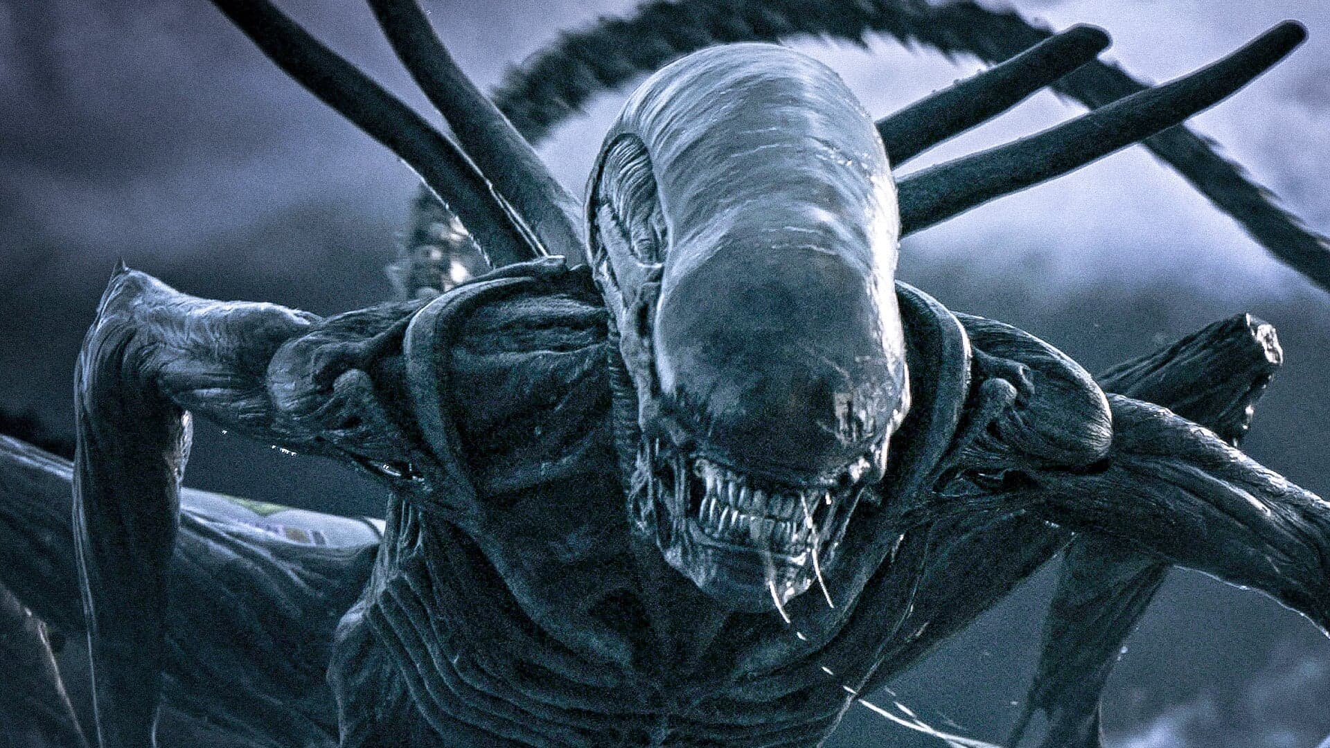Megvan, hogy ki írja az új Alien-filmet, amit ismét Ridley Scott készít, azonban nem a Romulus folytatása lesz