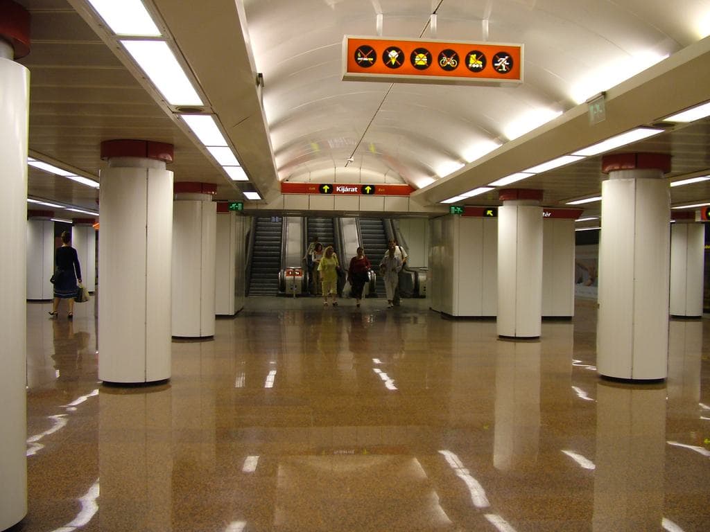 Vaddisznó miatt állt le a kettes metró