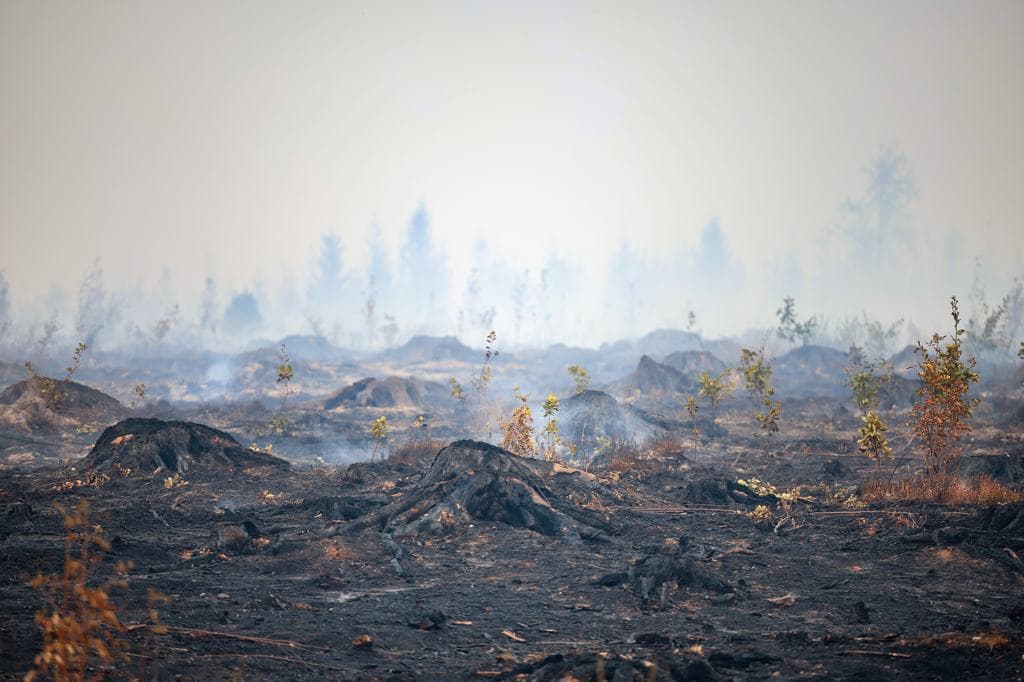 Már Németországot fenyegeti a belgiumi lángtenger, embereket kellett evakuálni a határvárosból
