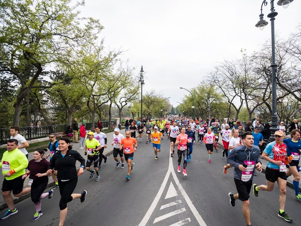 Fesztiválváros épül minden idők legnagyobb budapesti félmaratonjára