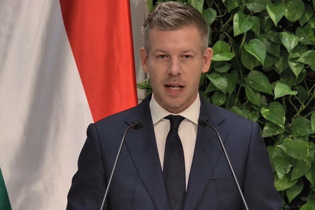 Vitatkozhatunk, de abban is van egy határ: Magyar Péter Mohácson beszélt