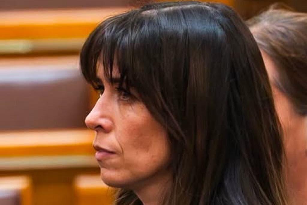 Magyar Péter átirányította a figyelmet: Tasnády Katalin lehet az NVVH legfontosabb vezetője