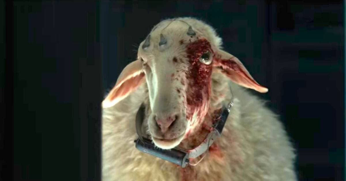 Cuki plüss lett az Alien: Föld legbizarrabb teremtménye