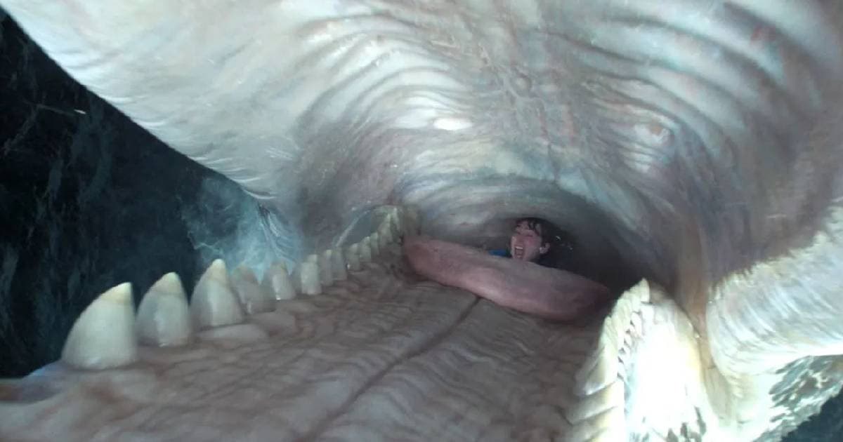 A Bálnahullás bevállalós előzetesében főhősünket lenyeli egy spermabálna